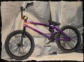 /album/our-teams-bikes/images-5-jpg/